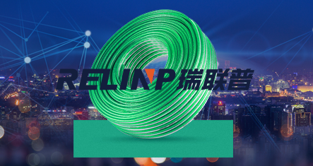 Jiaxing Ruilianpu Electronic Technology Co.,Ltd.